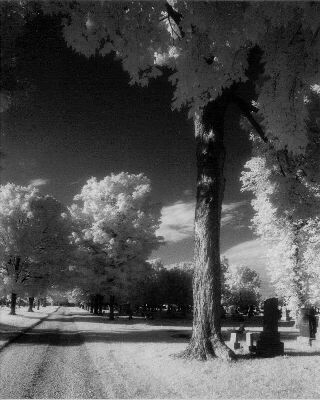 the Road